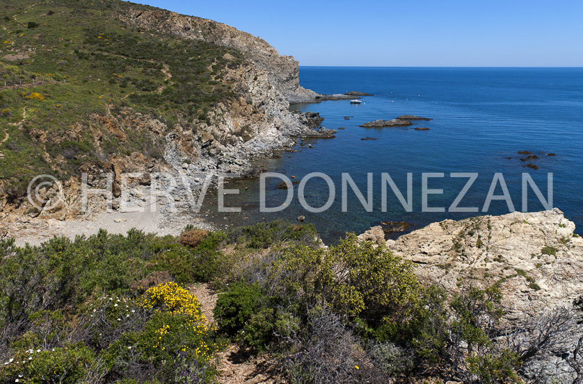 cote vermeille banyuls