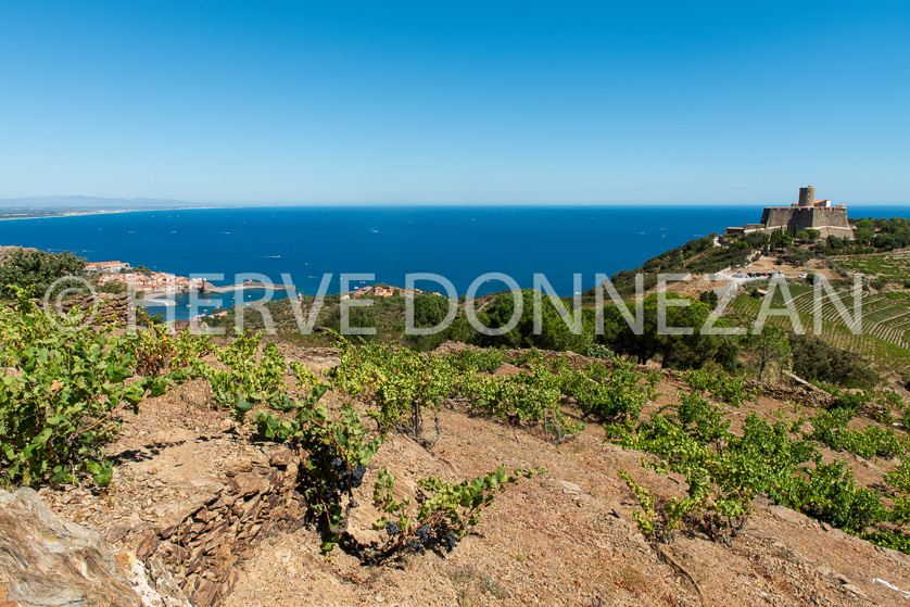 Cote vermeille collioure