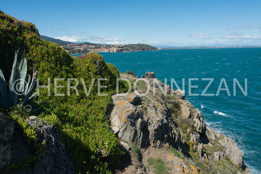 Cote vermeille collioure