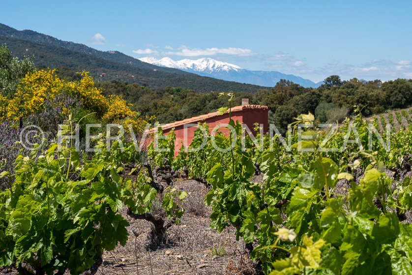 FRANCE ROUSSILLON ASPRES