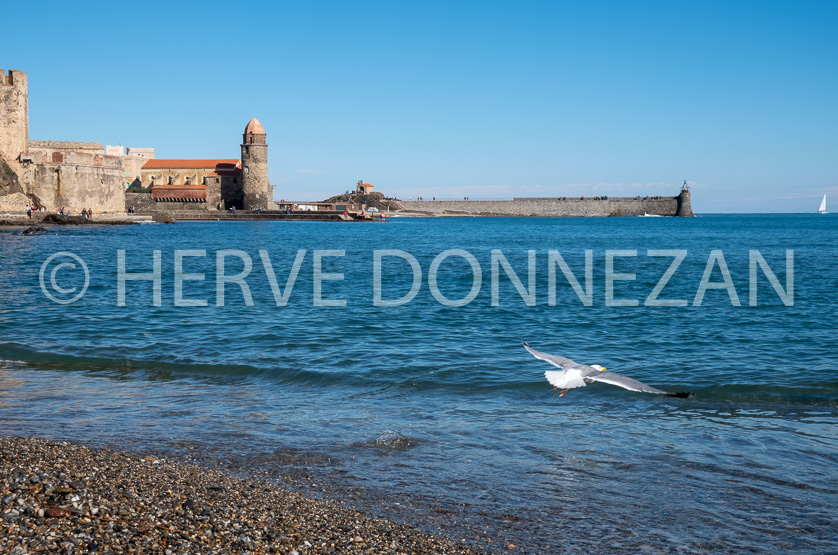  COLLIOURE