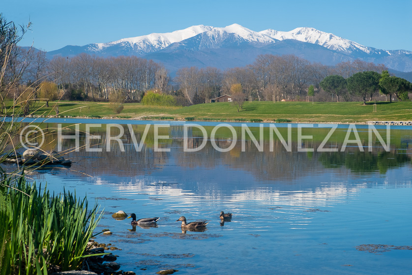 FRANCE ROUSSILLON PYRENEES ORIENTALES LE BOULOU CANIGOU