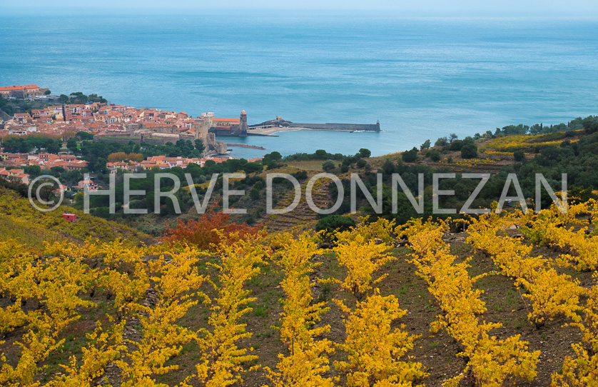 Cote vermeille collioure