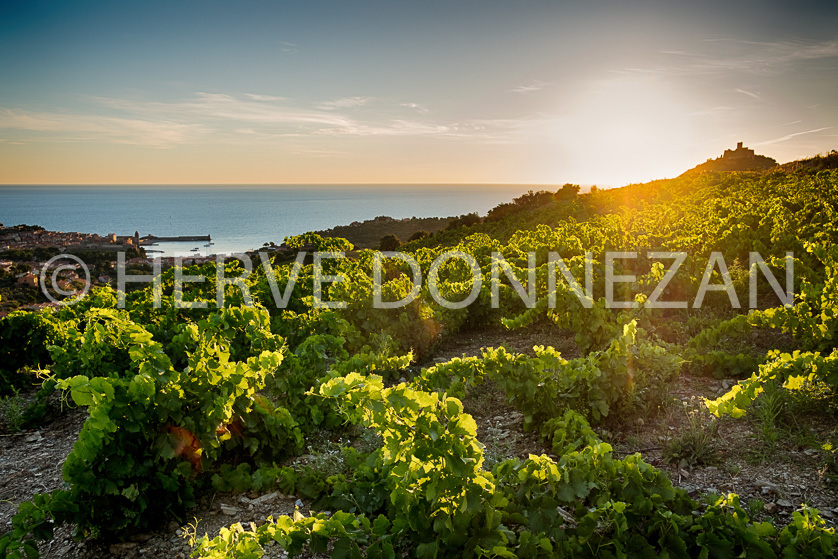 Cote vermeille collioure