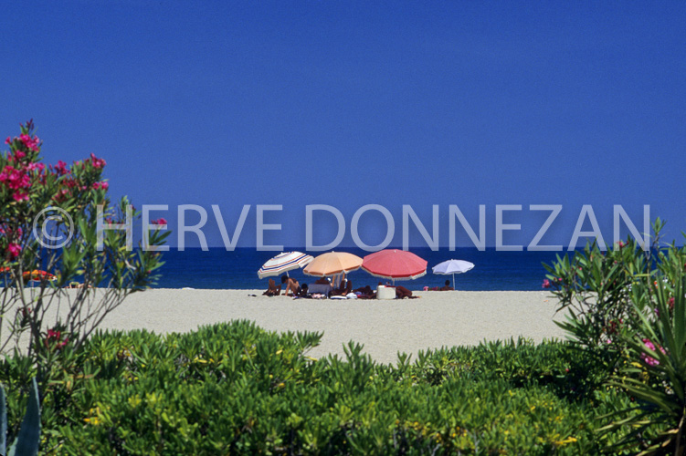 0035481-ARGELES PLAGE