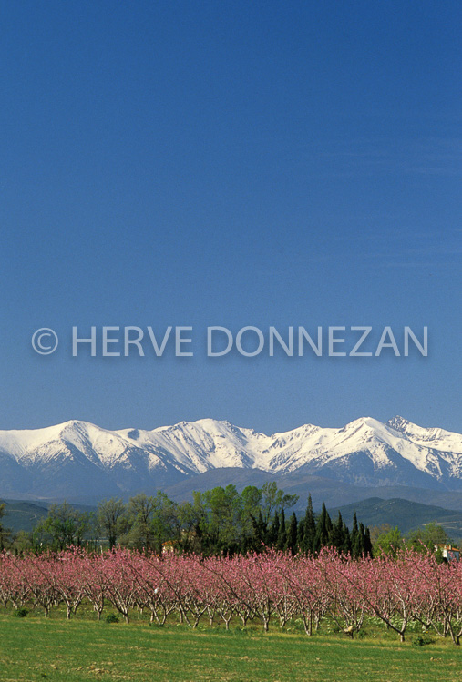 0029581-ILLE TET-CANIGOU