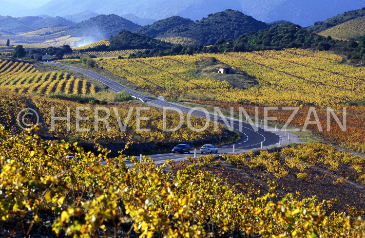 0035764-CORBIERES VIGNOBLES