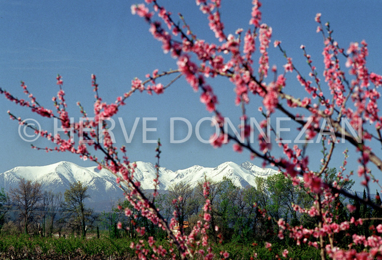 0086 PECHERS CANIGOU