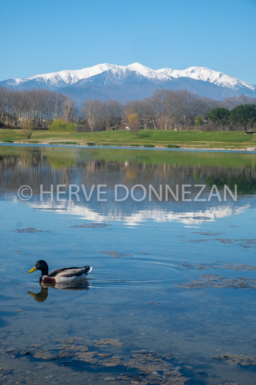 0161950 SAINT JEAN PLAT DE CORTS CANIGOU