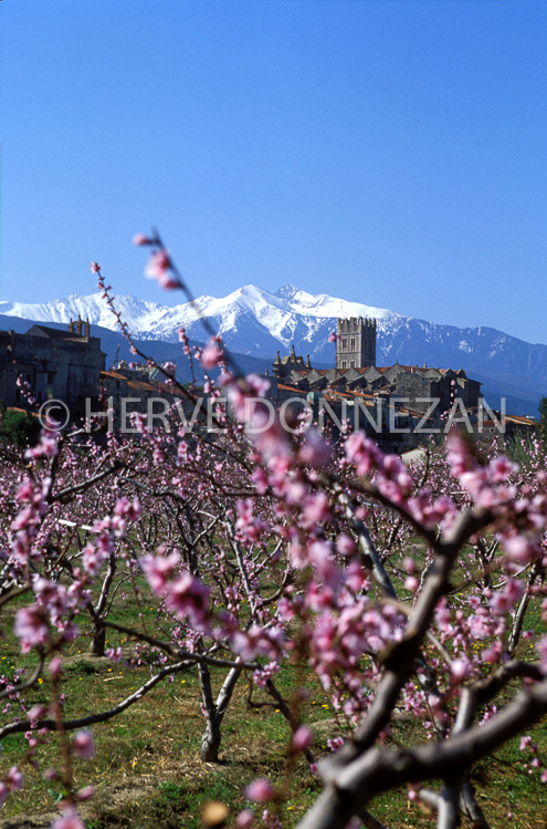 1321_21579_ILLE_PECHERS_CANIGOU