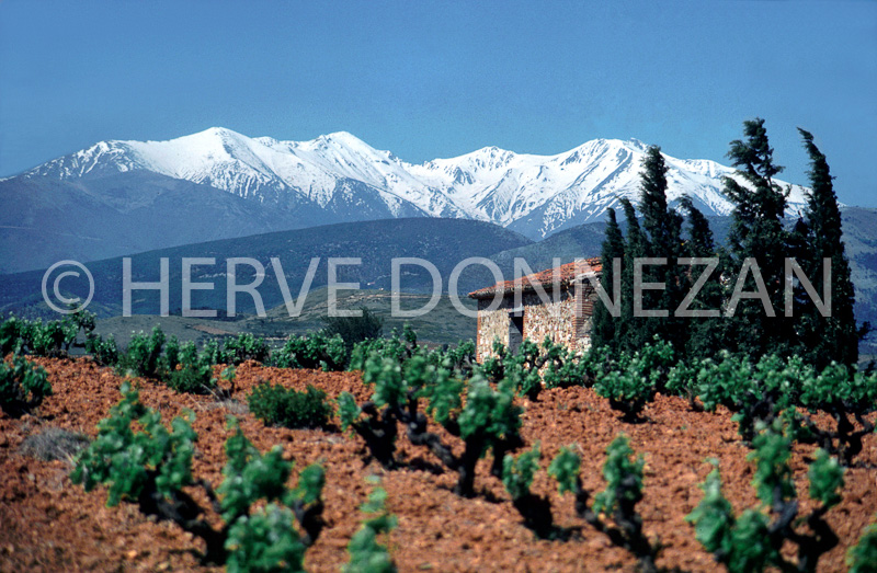 0002_177_ASPRES CASOT-VIGNES-CANIGOU