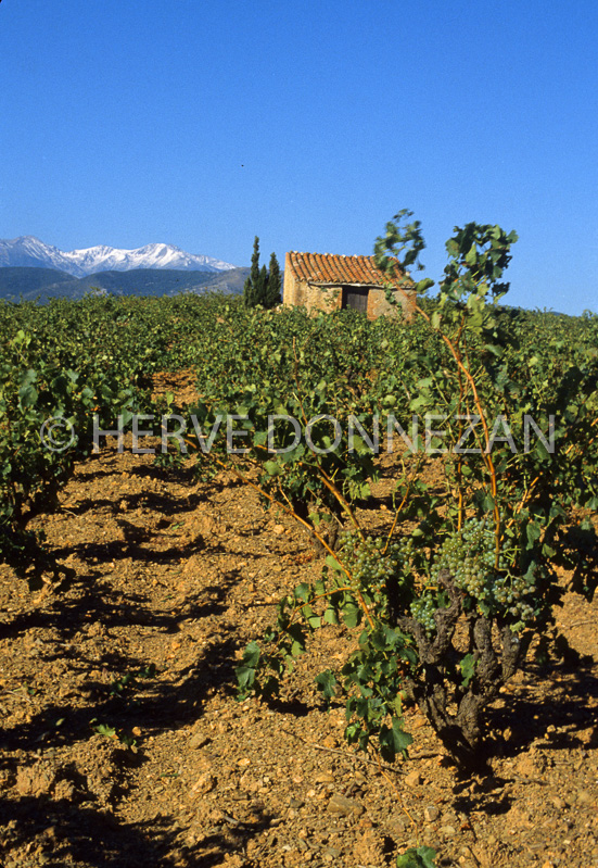 0040851-CANIGOU