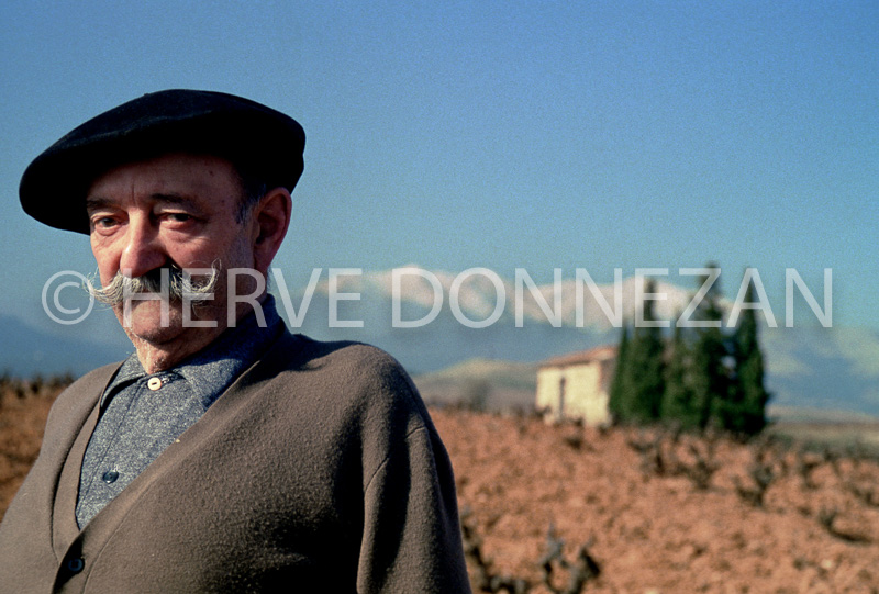 0054 VIGNERON CATALAN_