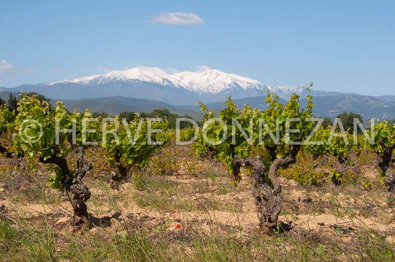 0150190-CANIGOU