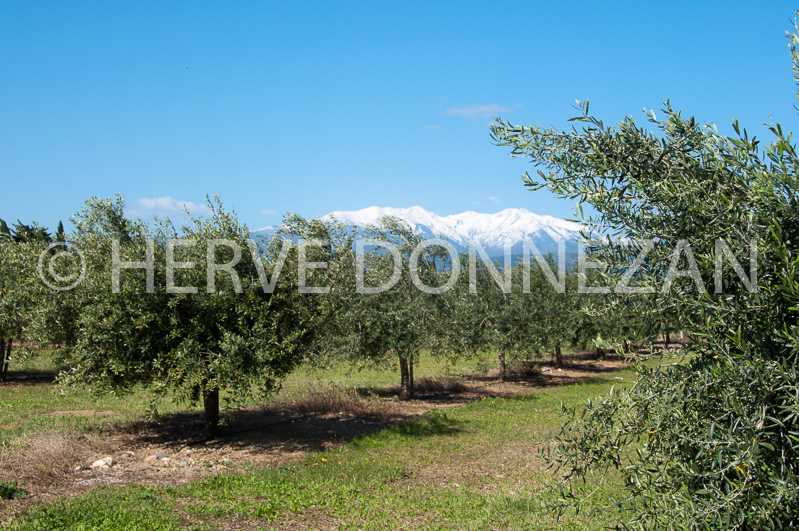 0150222-CANIGOU