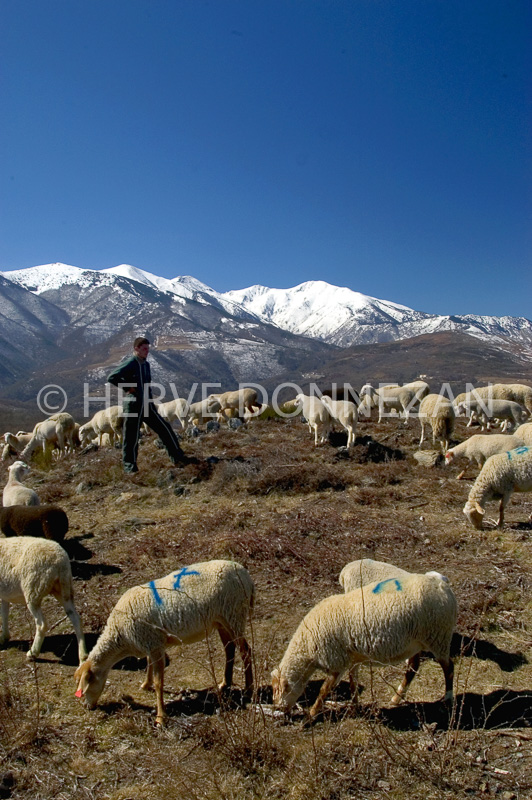 0151066-CANIGOU