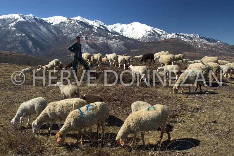 0151067-CANIGOU