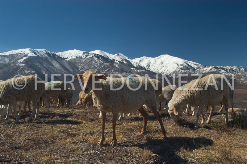0151071-CANIGOU