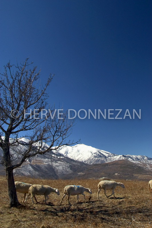 0151075-CANIGOU