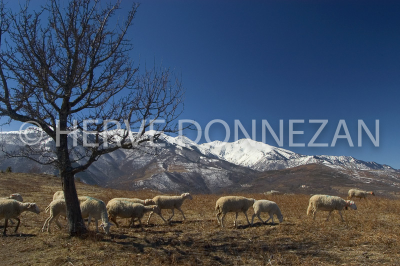 0151076-CANIGOU