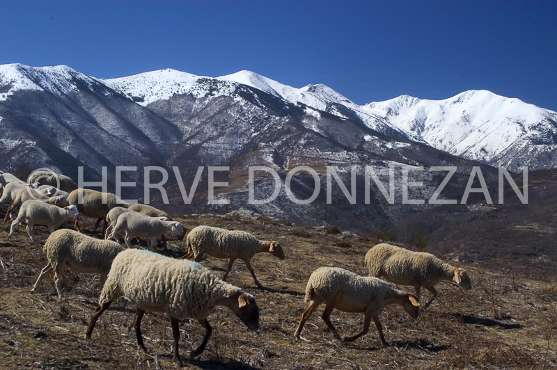 0151081-CANIGOU