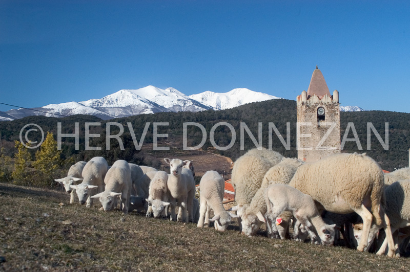0151778-CANIGOU