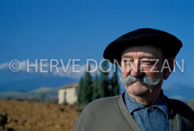 0294 VIGNERON-CATALAN 