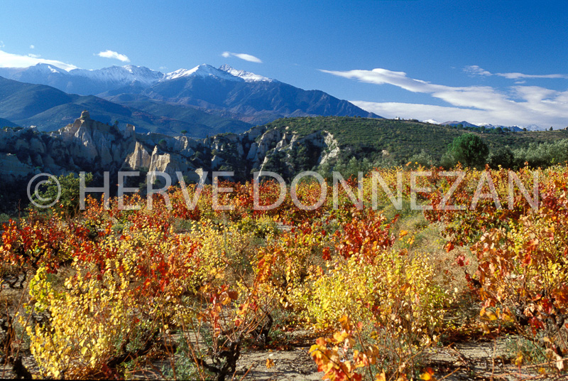 1179_1927_ORGUES ILLE AUTOMNE-