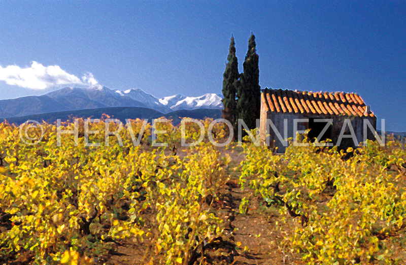 1198_19370_CASOT ASPRES_PEINTURES_