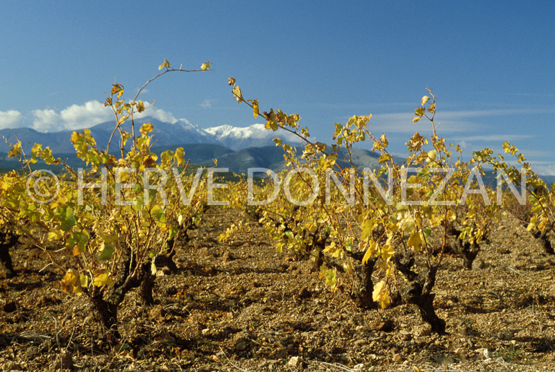 1213_19688_CANIGOU_ASPRES_