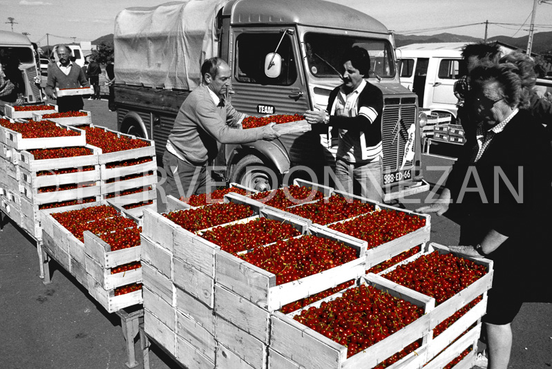 1620_29533 CERISES CERET-BNC-TUBE