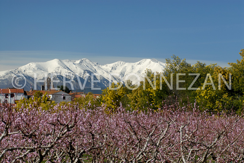 1735_47715_ASPRES TROUILLAS 