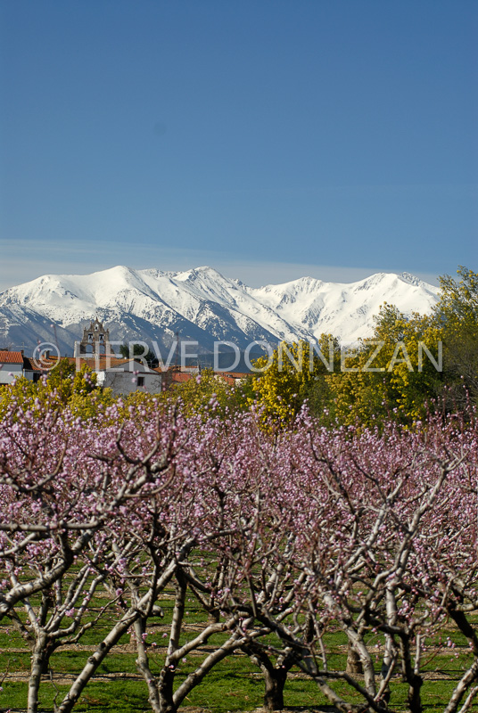 1737_47716_ASPRES TROUILLAS 