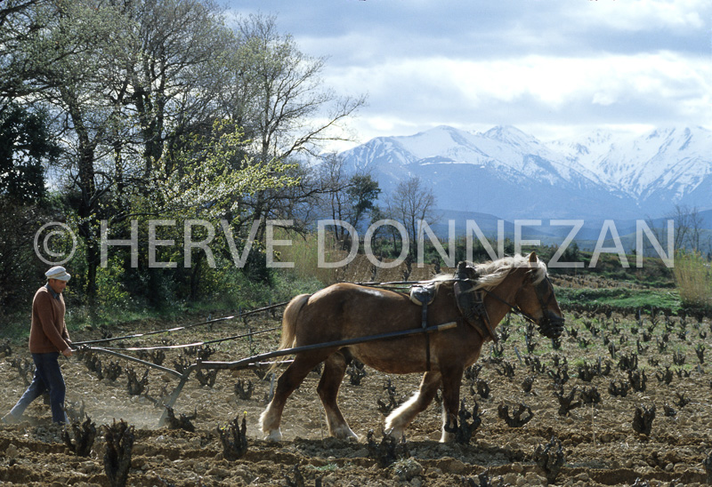 2322_39075ASPRES LABOUR CANIGOU_