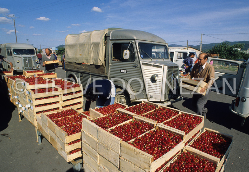 2334_61374_CERET_MARCHE_CERISES_A4