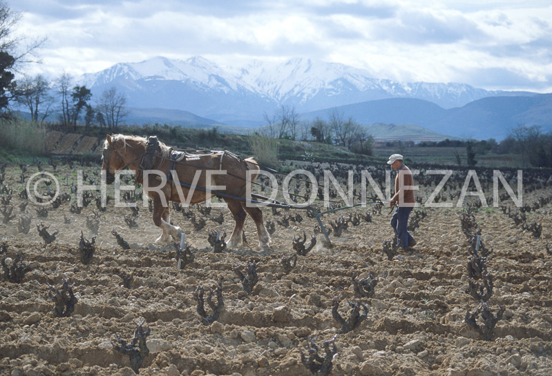 2455_47973_LABOUR_CANIGOU_