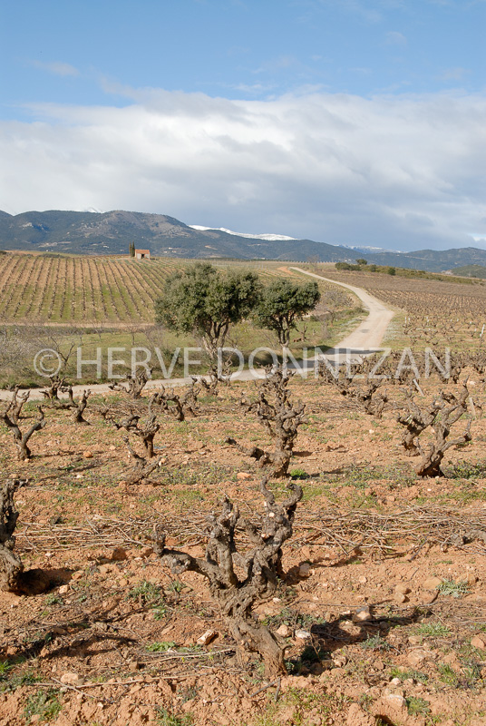 2680_46221_VIGNES_CASOT_