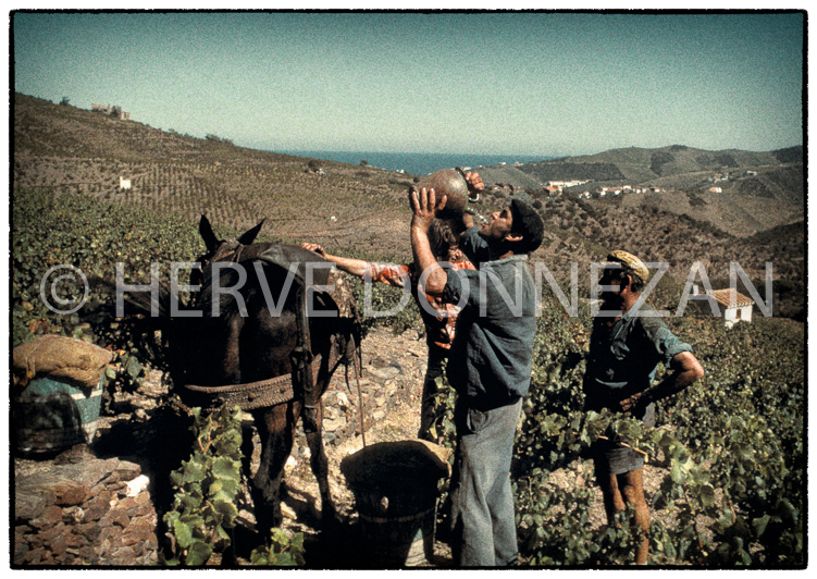 0262 BANYULS-AUTOCHROM