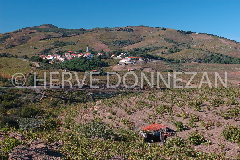 FRANCE PYRENEES ORIENTALES VIGNOBLE BANYULS 