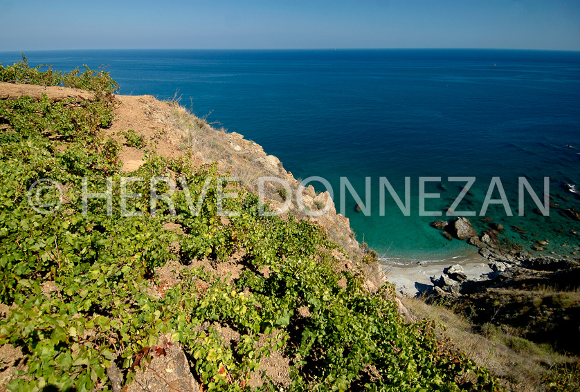 FRANCE ROUSSILLON BANYULS 