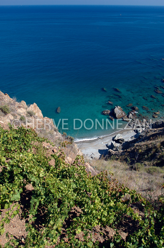 FRANCE ROUSSILLON BANYULS 