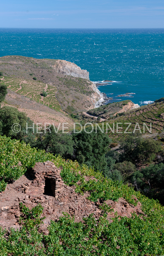 ROUSSILLON VIGNOBLE BANYULS 