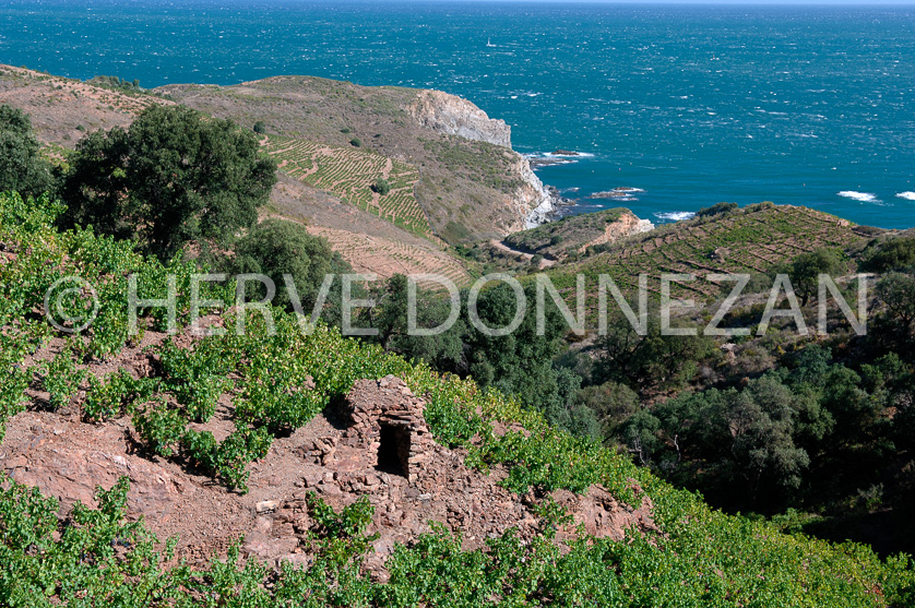 FRANCE ROUSSILLON VIGNOBLES BANYULS