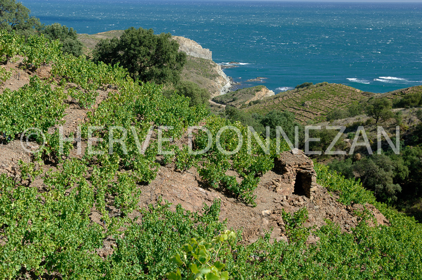 FRANCE ROUSSILLON VIGNOBLES BANYULS