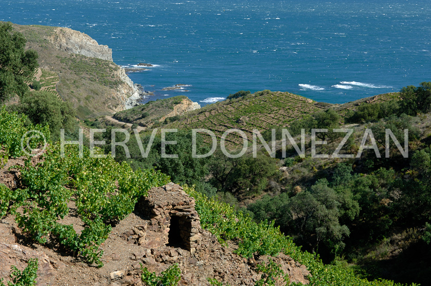 FRANCE ROUSSILLON VIGNOBLES BANYULS