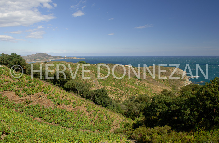 FRANCE ROUSSILLON VIGNOBLES BANYULS