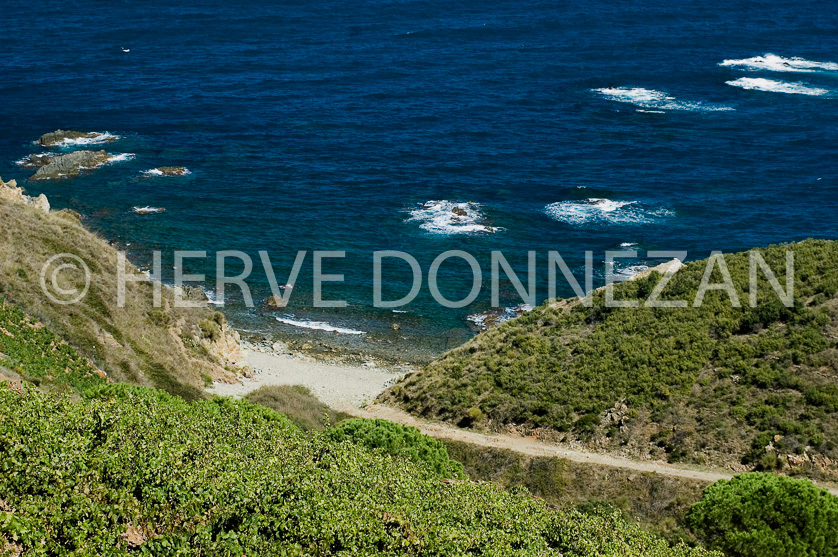 FRANCE PYRENEES ORIENTALES BANYULS SUR MER COTE VERMEILLE