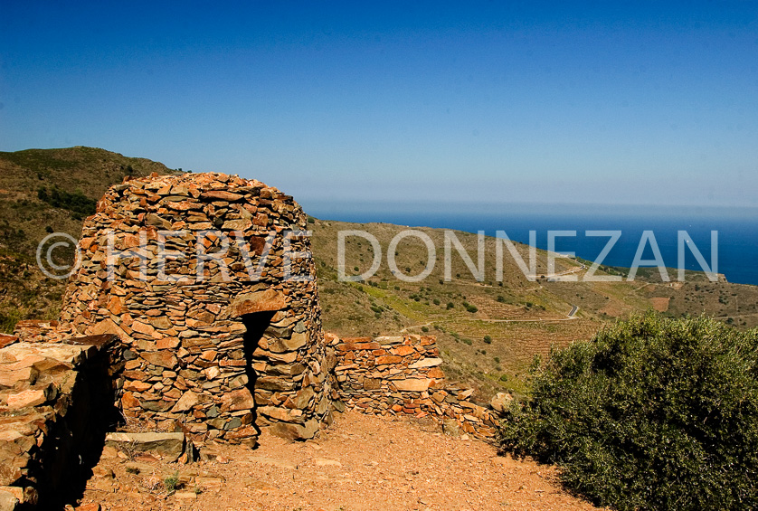 FRANCE PYRENEES ORIENTALES VIGNOBLE BANYULS