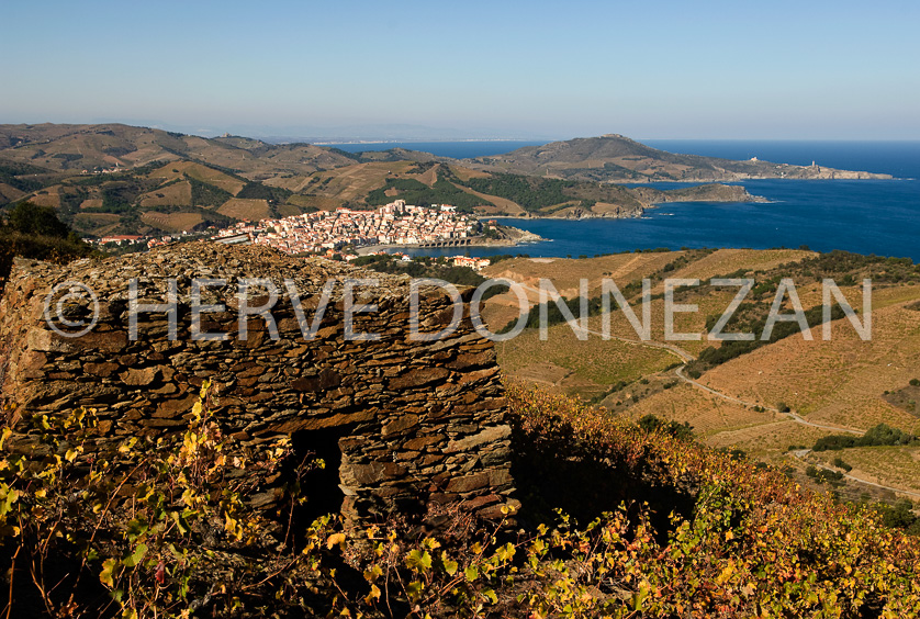 FRANCE PYRENEES ORIENTALES VIGNOBLE BANYULS