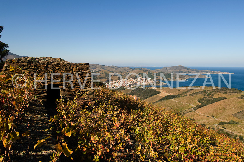 FRANCE PYRENEES ORIENTALES VIGNOBLE BANYULS